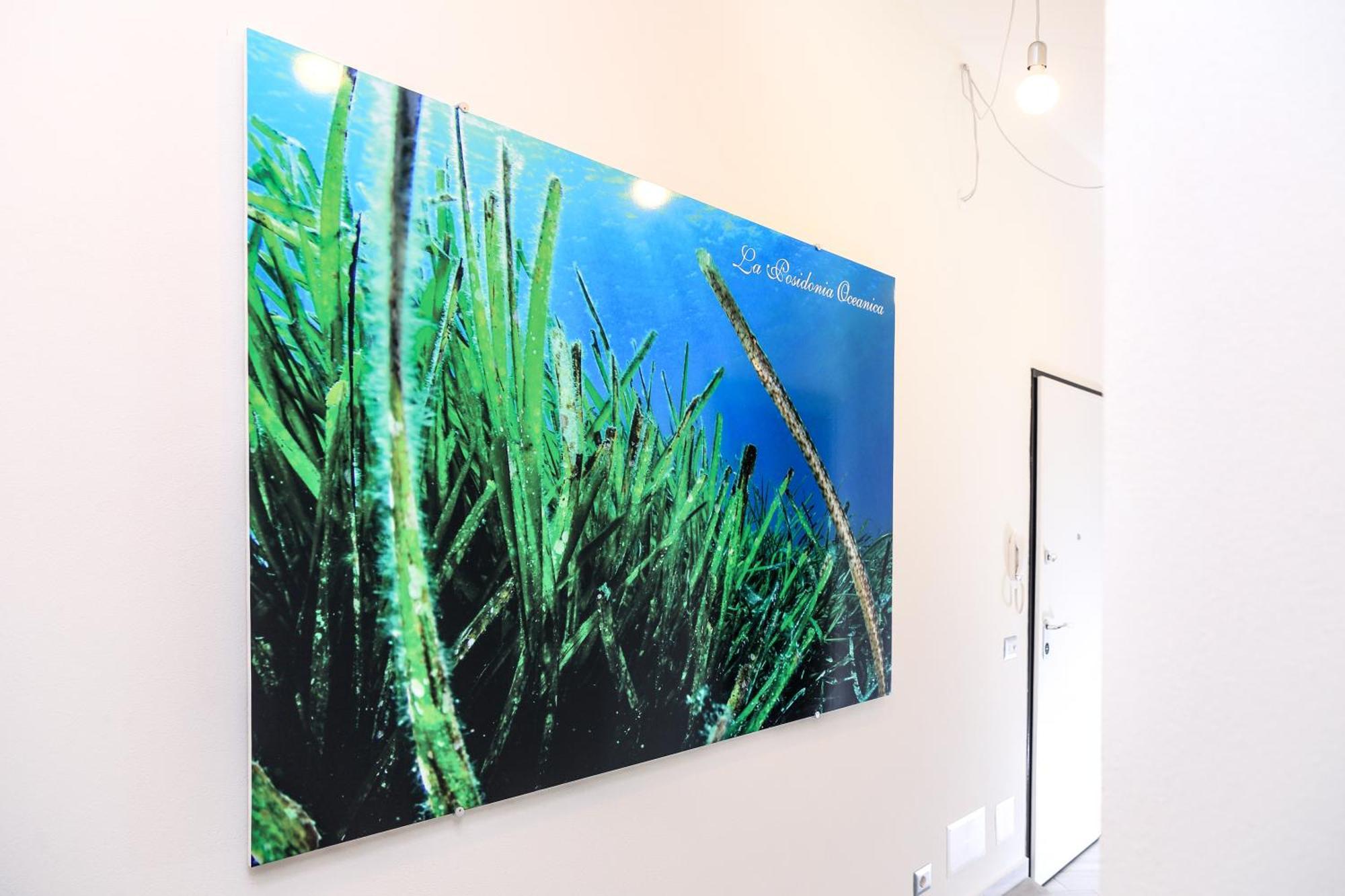 La Posidonia Oceanica Frühstückspension 2*